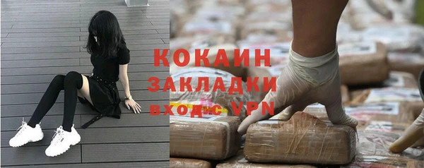 шишки Мегион