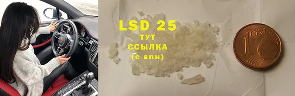 гидра Бородино