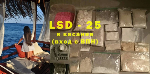 шишки Мегион