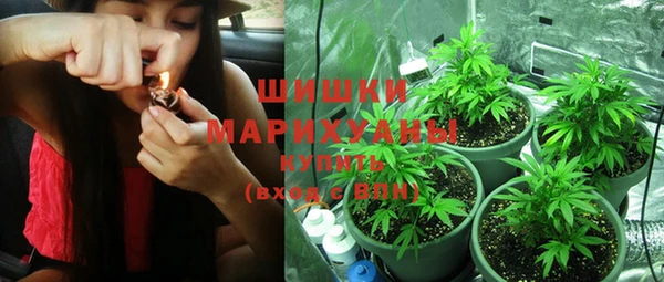ешки Бронницы