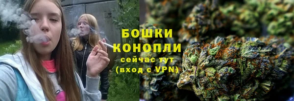 гидра Бородино