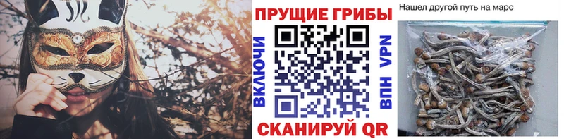 Псилоцибиновые грибы прущие грибы  наркотики  Вихоревка 